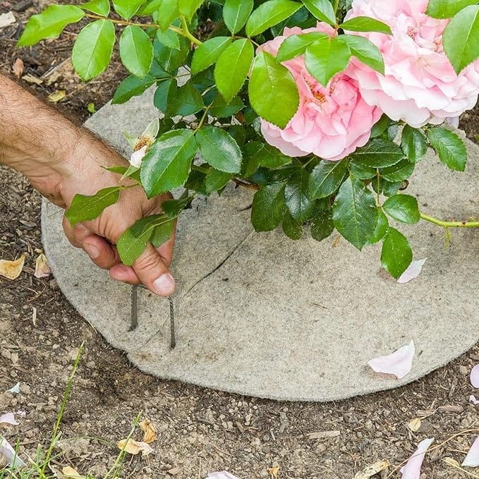 d67c877072150b2d623828383fcf88b1