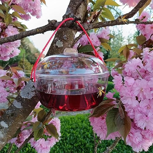 d7a59f30c233e2b882abe6c6de26e74d