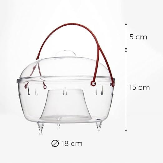 e163a3d289aa2568919c598fa136d0f7