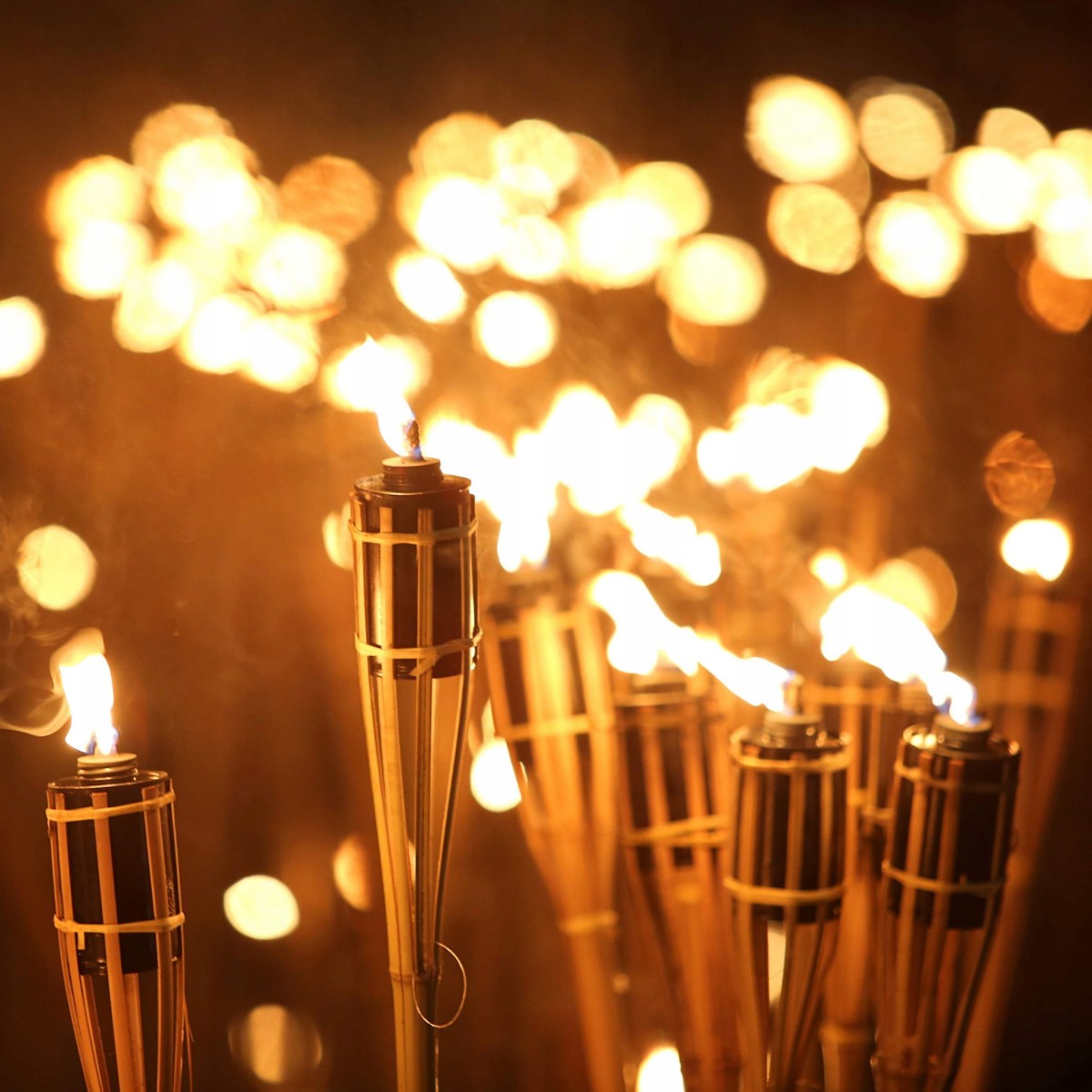 395db1b9547c04444b4ec2c09d79944e