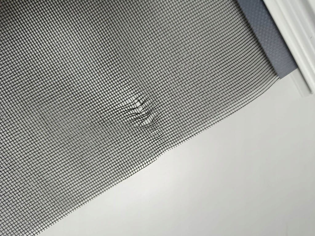 448efd8dc67167c2c96a8216038341b4