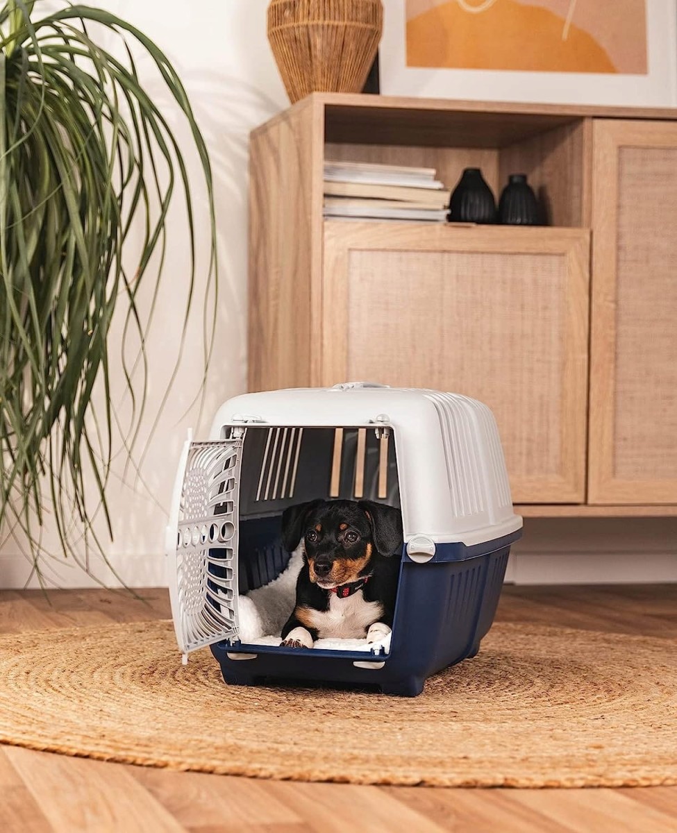 22933e2fc69089d188c01a89786d7ee1